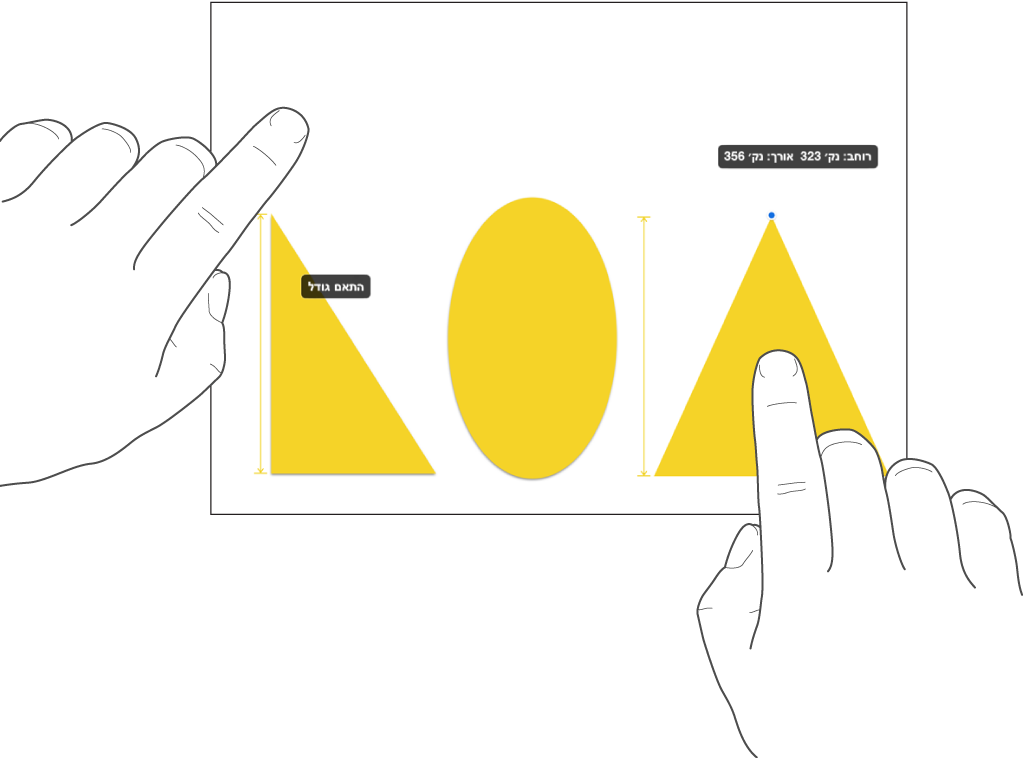 אצבע אחת ממש מעל לצורה ואצבע אחרת מחזיקה אובייקט כאשר המילים ״התאם גודל״ מוצגות על המסך.