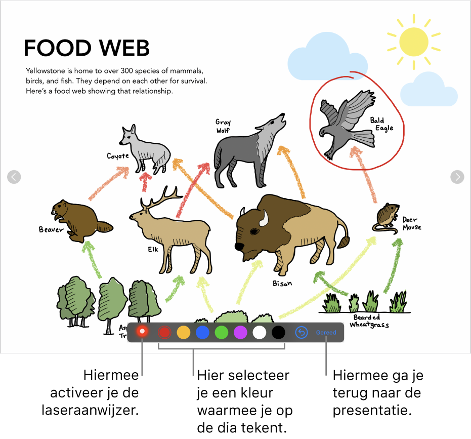 Een dia in de tekenmodus met de laseraanwijzer en kleurselectieregelaars.