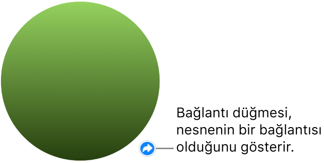 Zincirli yeşil daire düğme, nesnenin bir bağlantısı olduğunu belirtir.