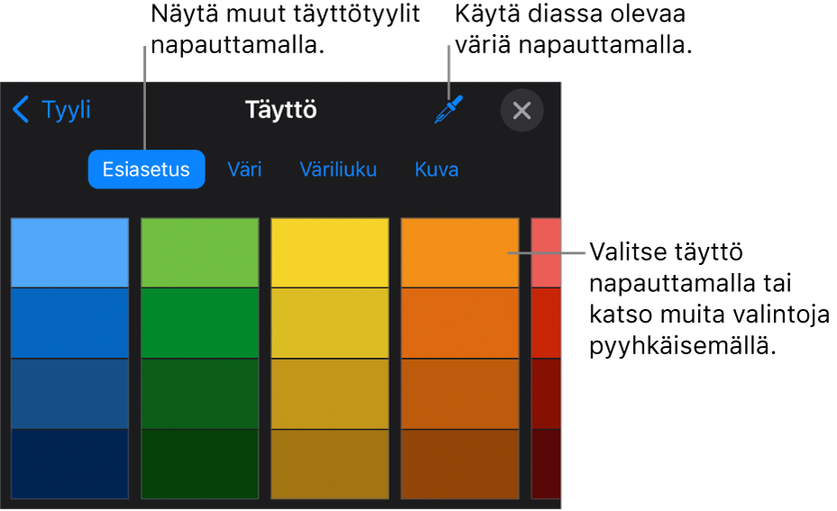 Tyyli-välilehden Täyttö-valinnat.