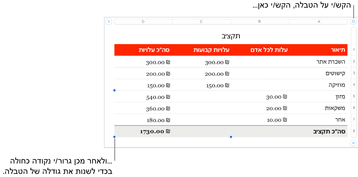 טבלה שנבחרה, עם נקודות כחולות לשינוי גודל.