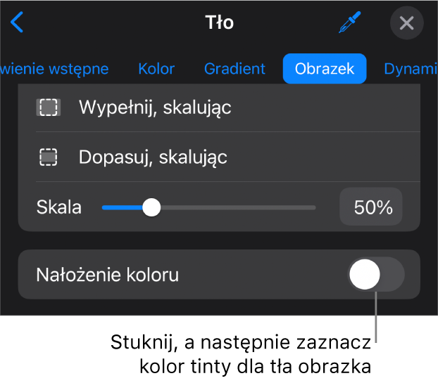 Narzędzia tła z obrazkiem ustawionym jako tło slajdu oraz na dole narzędzie Nałożenie koloru.