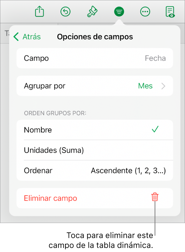 El menú Opciones de campos, mostrando los controles para agrupar y clasificar los datos, así como la opción para eliminar un campo.