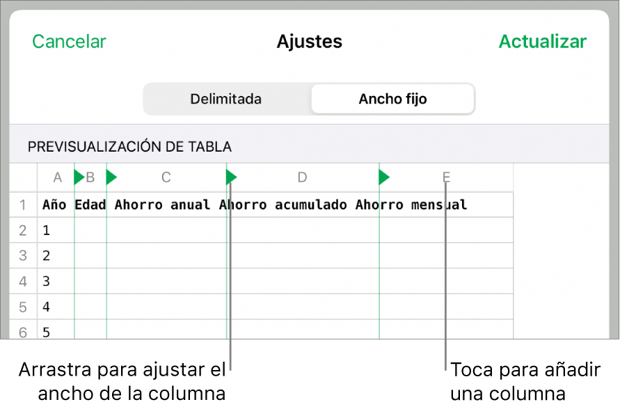 Los ajustes de importación de un archivo de texto de ancho fijo.