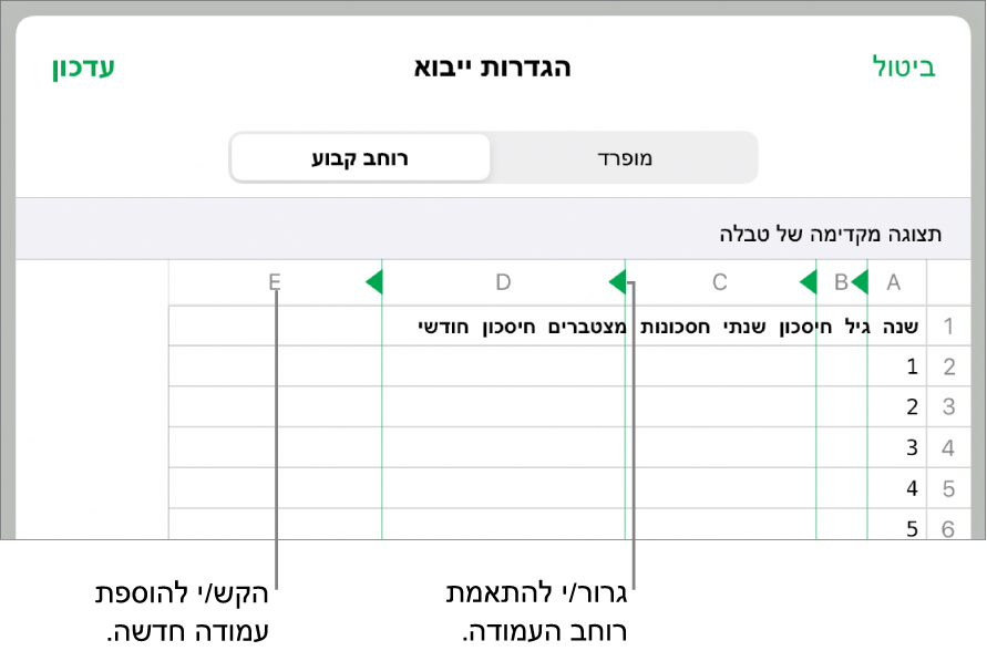 הגדרות הייבוא עבור קובץ מלל ברוחב קבוע.