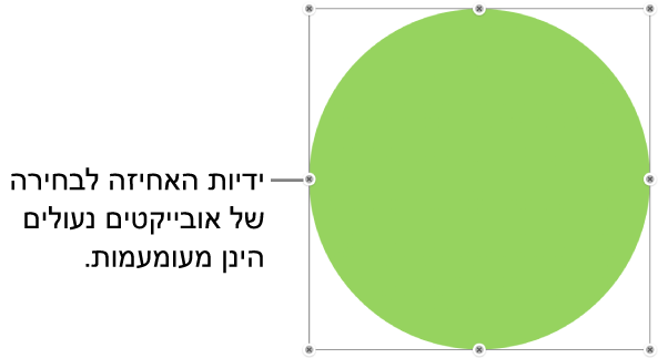 אובייקט נעול עם ידיות בחירה מעומעמות.