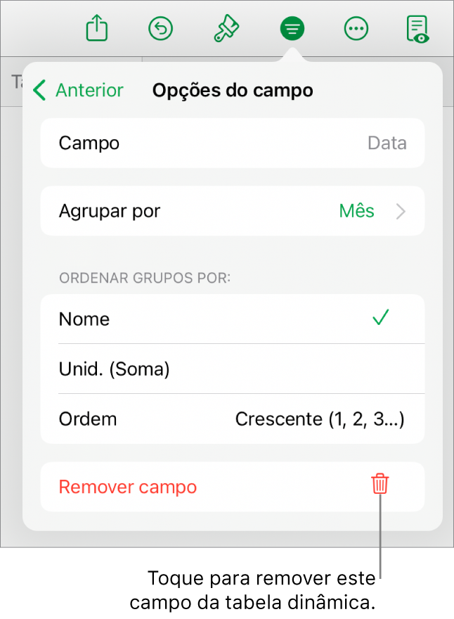 O menu Opções do campo, a mostrar os controlos que permitem agrupar e ordenar dados, assim como a opção para remover um campo.