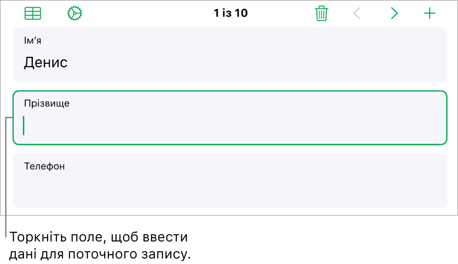 Запис у формі з активним полем і точкою вставлення.