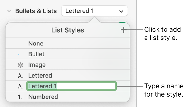 The List Styles pop-up menu with an Add button in the top-right corner and a placeholder style name with its text selected.