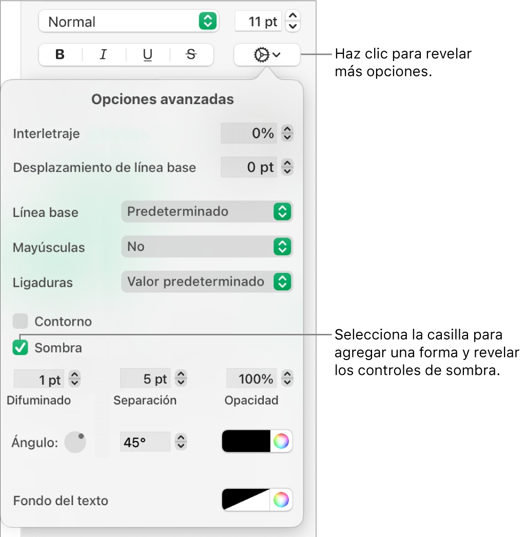 El menú Más opciones de texto abierto con la casilla Sombras seleccionada y los controles para configurar el desenfoque, la desviación, la opacidad, el ángulo y el color.