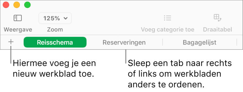 De tabbladbalk voor het toevoegen van een nieuw werkblad en het opnieuw ordenen van werkbladen.