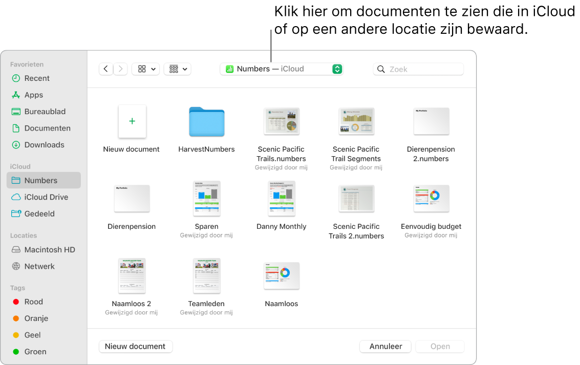 Het dialoogvenster 'Open' waarin de navigatiekolom aan de linkerkant is geopend en waarin in het venstermenu bovenin 'iCloud Drive' is geselecteerd. In het dialoogvenster staan mappen voor Keynote, Numbers en Pages en de knop 'Nieuw document'.