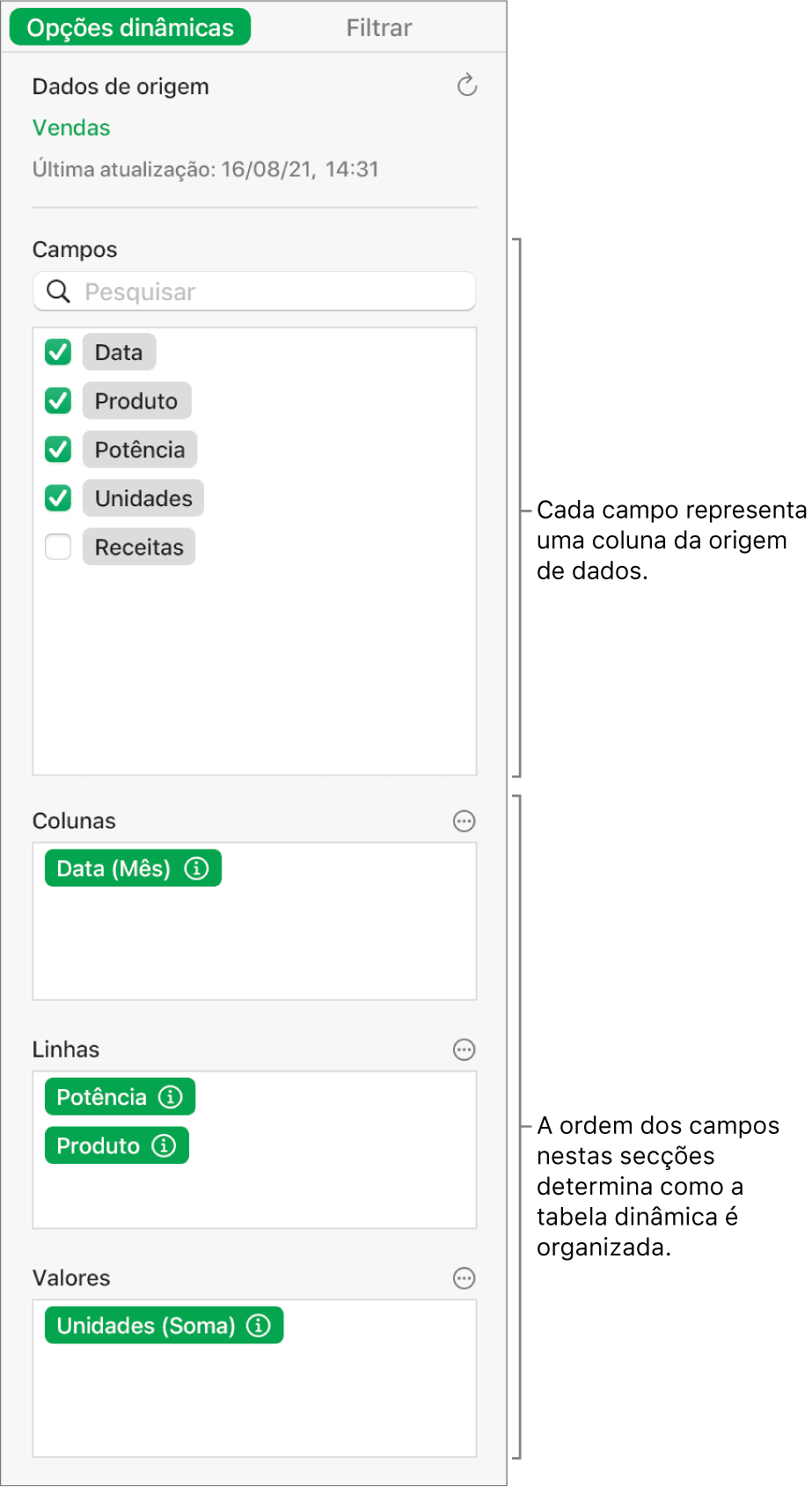 O separador “Opções dinâmicas” na barra lateral “Organizar” a mostrar campos nas secções “Colunas”, “Linhas” e “Valores”, bem como os controlos para editar os campos e atualizar a tabela dinâmica.