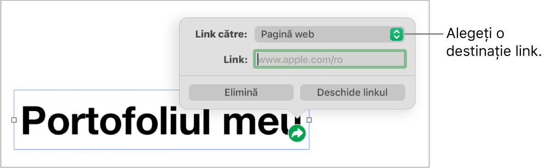 Comenzile editorului de linkuri cu opțiunea Pagină web selectată și butoanele Elimină și Deschide linkul în partea de jos.