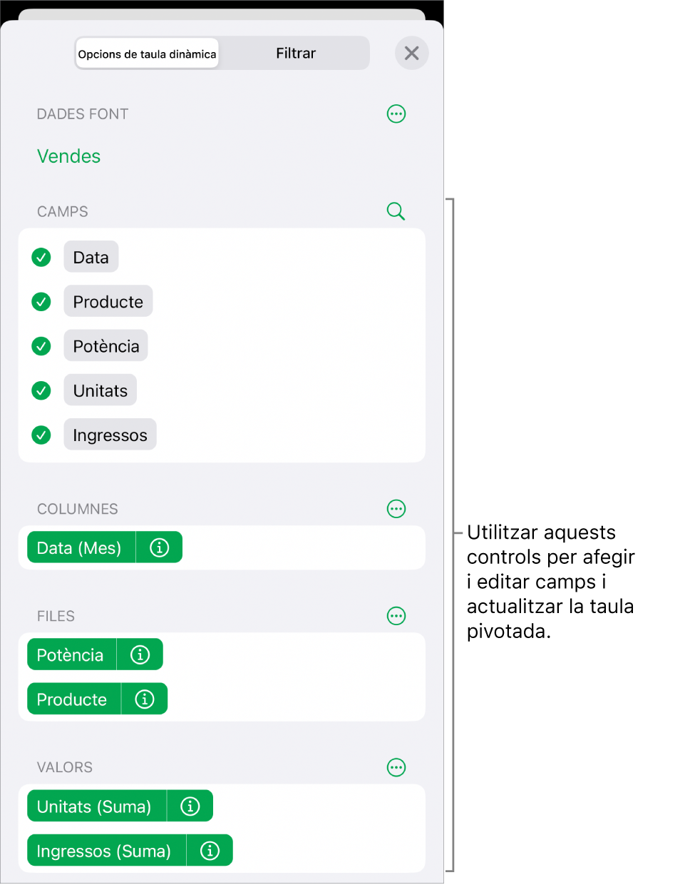 El menú “Opcions de taula dinàmica” que mostra els camps a les seccions Columnes, Files i Valors, a més dels controls per editar els camps.