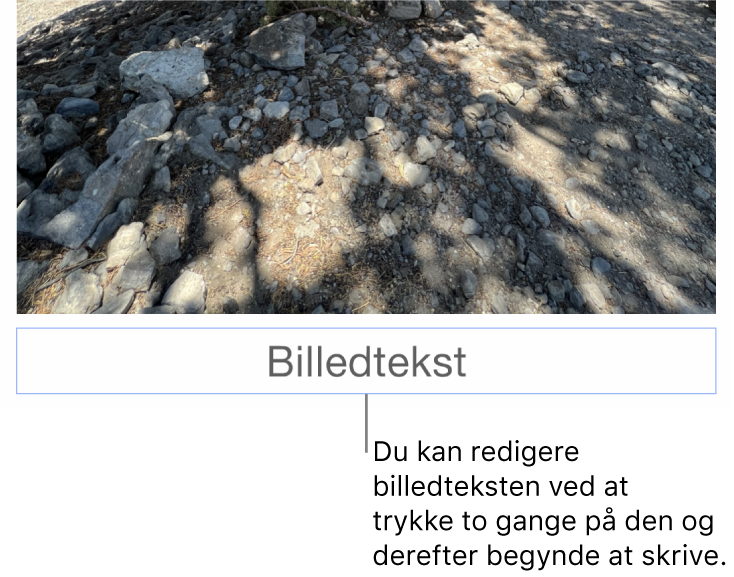 Eksempelbilledteksten “Billedtekst” vises under et foto, og en blå kontur rundt om feltet med billedtekst viser, at det er valgt.