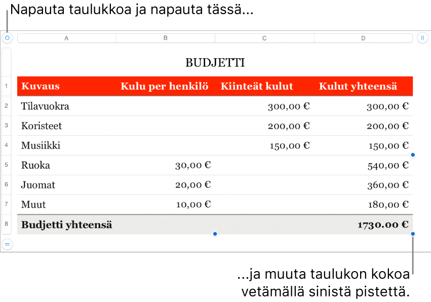 Valittuna taulukko, jossa on siniset pisteet koon muuttamiseen.