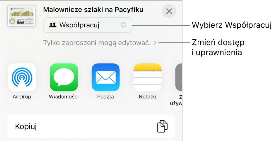 Menu udostępniania z opcją Współpracuj wybraną u góry oraz ustawieniami dostępu i uprawnień poniżej.