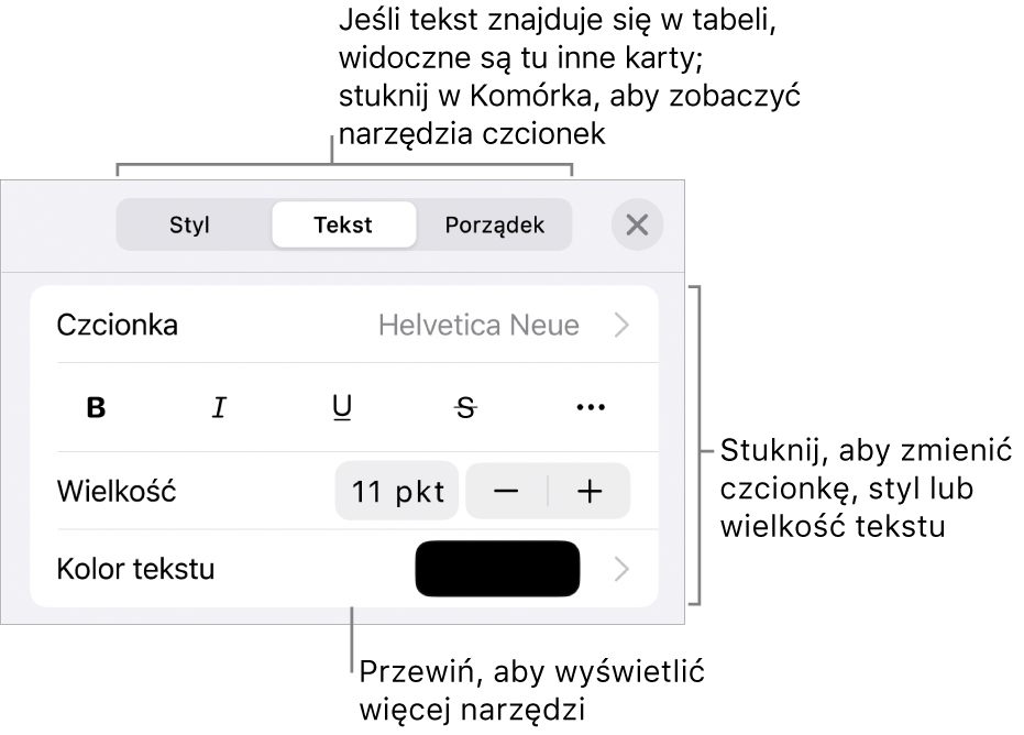 Narzędzia tekstów w menu Format służą do ustawiania stylów akapitu i znaków oraz czcionek ich wielkości i koloru.