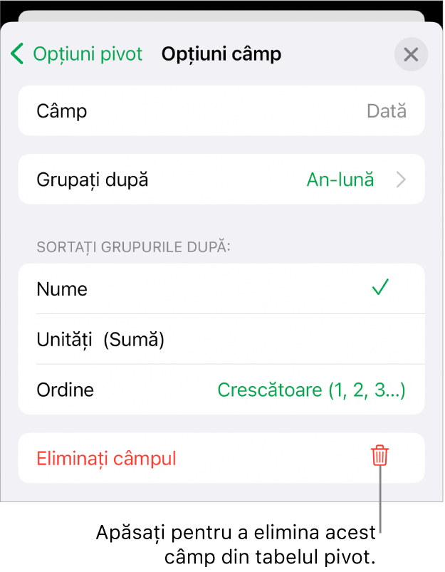 Meniul Opțiuni câmp afișând comenzile pentru gruparea și sortarea datelor și opțiunea de eliminare a unui câmp.
