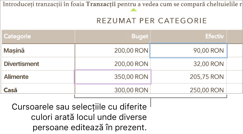 Cursoarele sau selecțiile cu diferite culori arată locul unde diverse persoane editează în prezent.