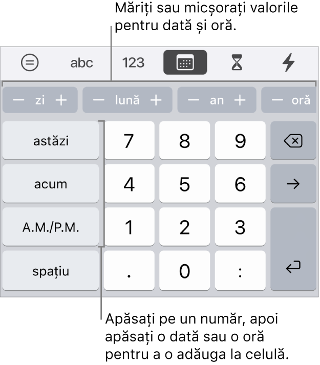 Tastatura dată și oră. Un rând de butoane de lângă partea de sus afișează unități de timp (lună, zi și an) pe care le puteți incrementa pentru a schimba valoarea afișată în celulă. Pe stânga se află tastele pentru astăzi, acum și AM/PM, iar în centrul tastaturii sunt taste numerice.