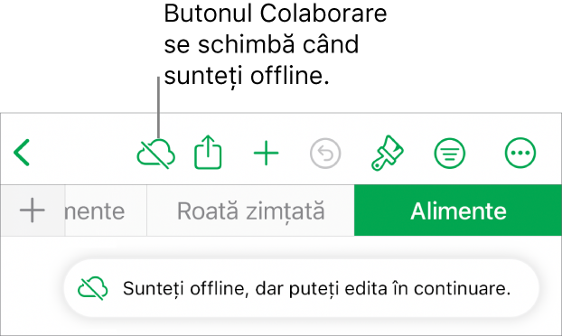 Butoanele din partea de sus a ecranului, cu butonul Colaborare transformat într-un nor traversat de o linie diagonală. Pe ecran apare o alertă „Sunteți offline, dar puteți edita în continuare”.