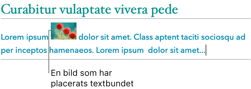 En bild placeras förankrad till texten.