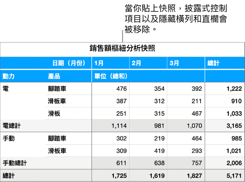 樞紐分析表格快照。