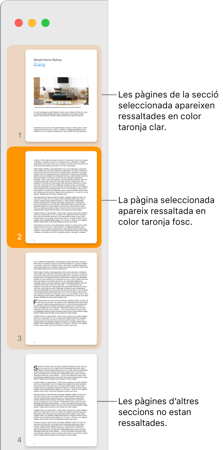 La barra lateral “Vista de miniatures” amb la pàgina seleccionada ressaltada en taronja fosc i totes les pàgines de la secció seleccionada ressaltades en taronja clar.