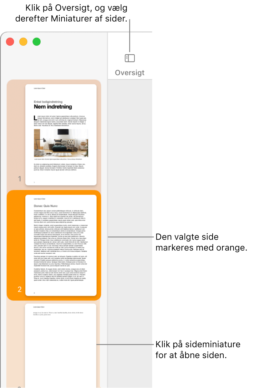 Indholdsoversigten i venstre side af Pages-vinduet med oversigten Miniaturer af sider åben og en valgt side markeret med mørk orange.