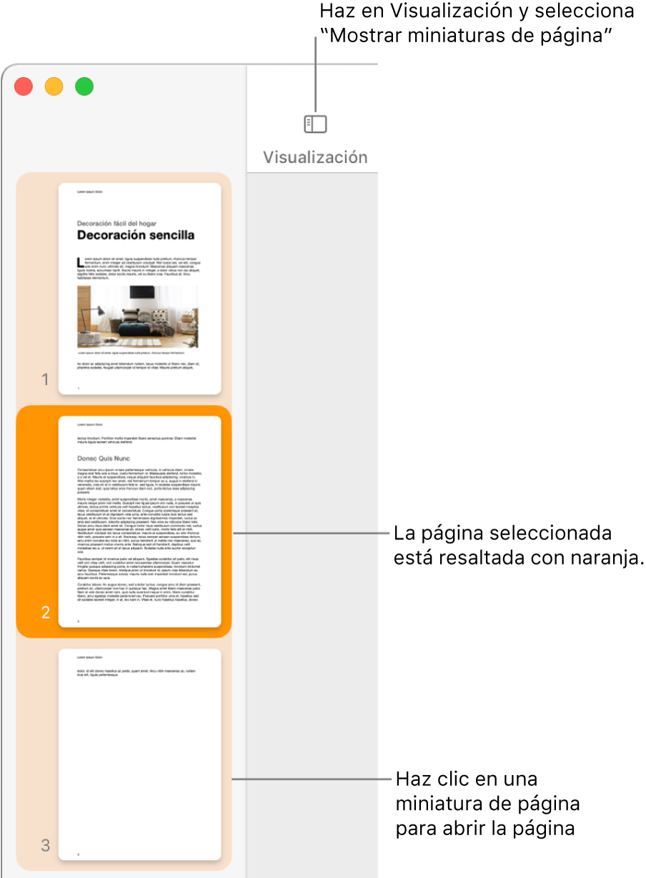 La barra lateral a la izquierda de la ventana de Pages con la visualización Miniaturas de página abierta, y una página seleccionada que se resalta en naranja oscuro.