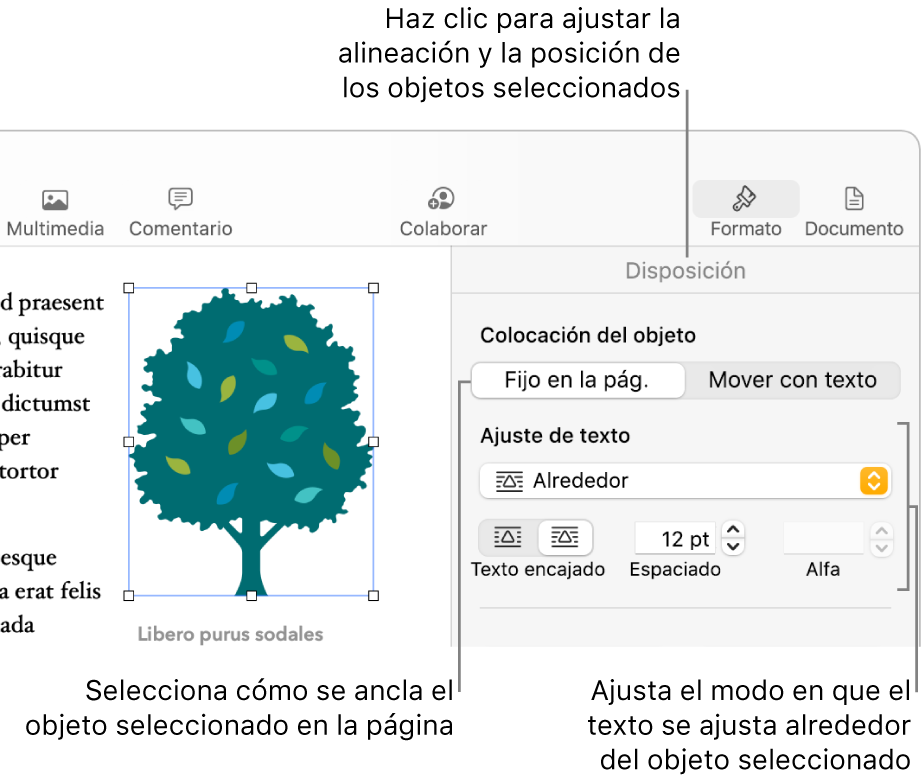 El menú Formato con la barra lateral Disposición. En la parte superior de la barra lateral Disposición se encuentran los ajustes de “Colocación del objeto”, y debajo están los ajustes de “Ajuste de texto”.