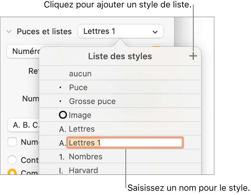 Menu local « Styles de liste » avec un bouton Ajouter dans le coin supérieur droit et un nom de style de paramètre fictif dont le texte est sélectionné.