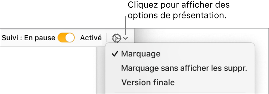 Le menu des options de révision, avec les options Marquage, Marquage sans afficher les suppr. et Version finale.