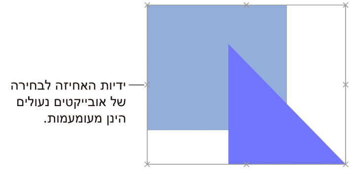 אובייקטים נעולים עם ידיות בחירה מעומעמות.