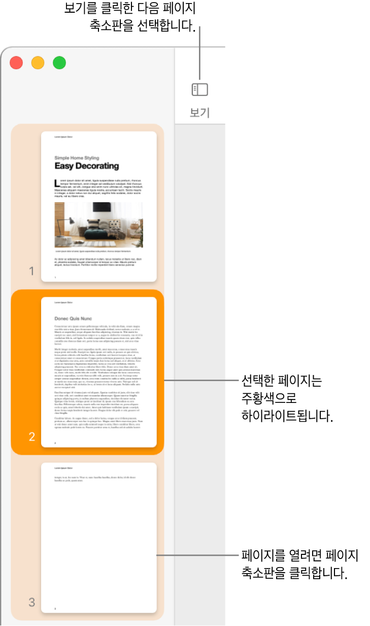 Pages 윈도우 왼쪽 측면의 사이드바에 페이지 축소판 보기가 열려 있고 선택된 페이지는 어두운 주황색으로 하이라이트됨.