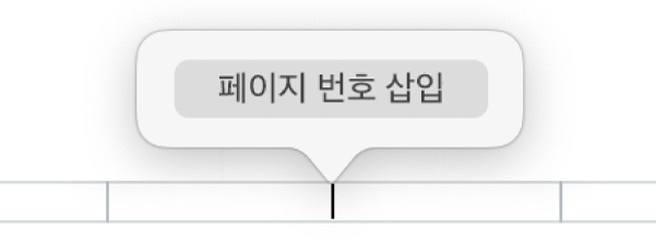 머리말 아래에 있는 페이지 번호 삽입 버튼.