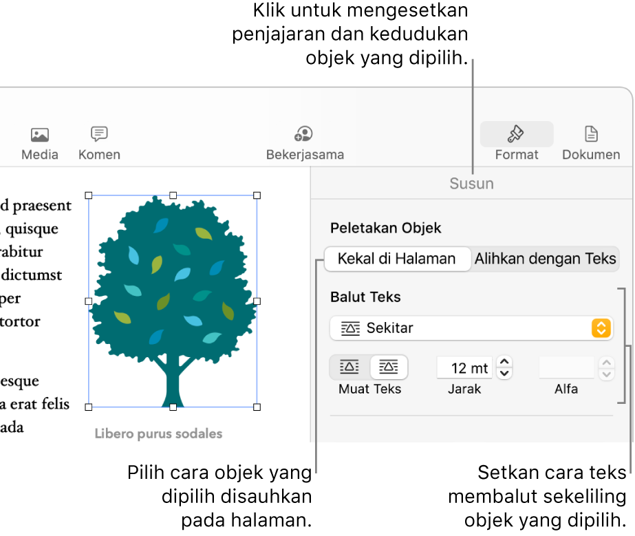 Menu Format dengan bar sisi Susun dipaparkan. Seting Peletakan Objek berada di bahagian atas bar sisi Susun, dengan seting Balut Teks di bahagian bawah.