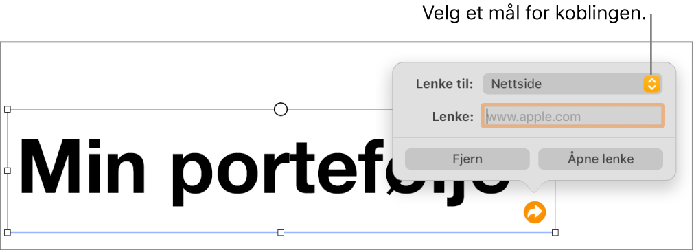 Lenkeredigerer-kontrollene med Nettside markert, og Fjerne lenke- og Åpne lenke-knappene nederst.