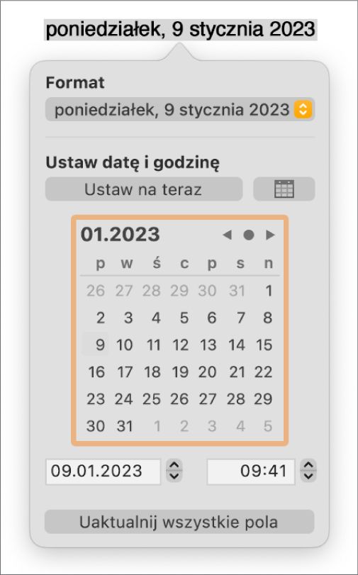 Narzędzia daty i godziny. Widoczne jest menu podręczne formatu oraz narzędzia do ustawiania daty i godziny.