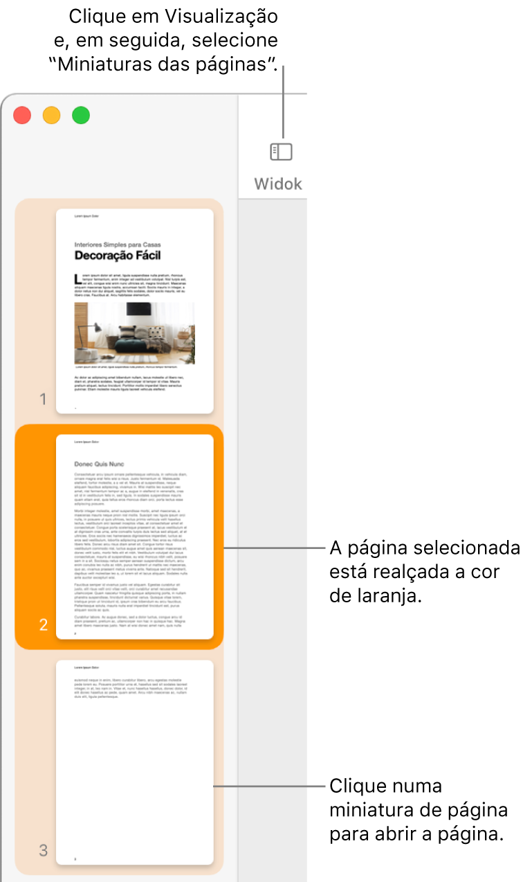 Procurar palavras no Pages no Mac - Suporte Apple (PT)