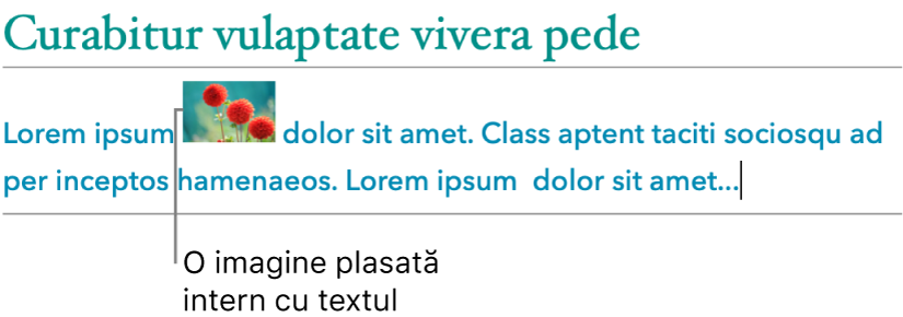 O imagine este plasată intern cu text.