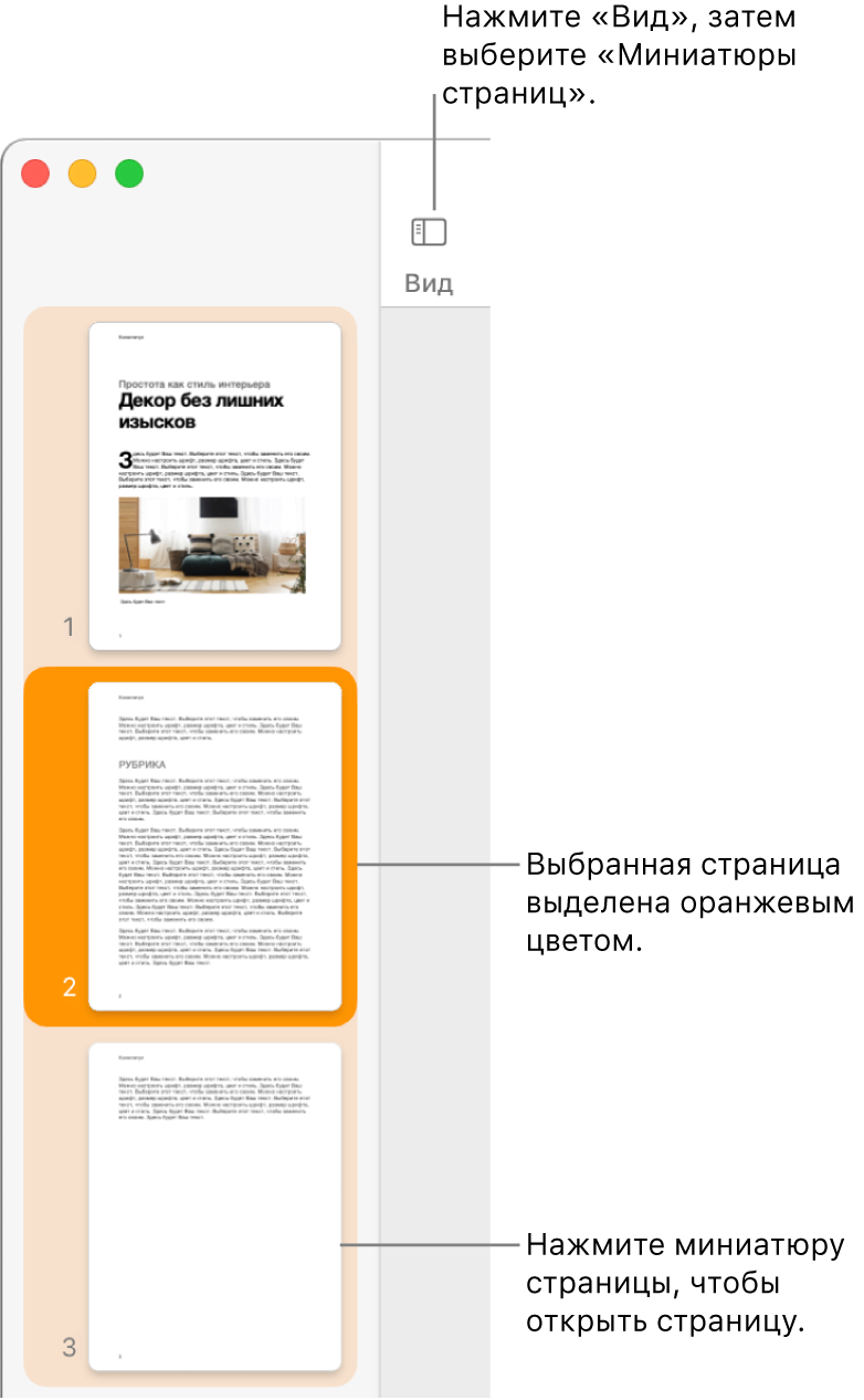 Боковое меню в левой части окна Pages. Открыта панель «Миниатюры страниц», выбранная страница выделена оранжевым цветом.