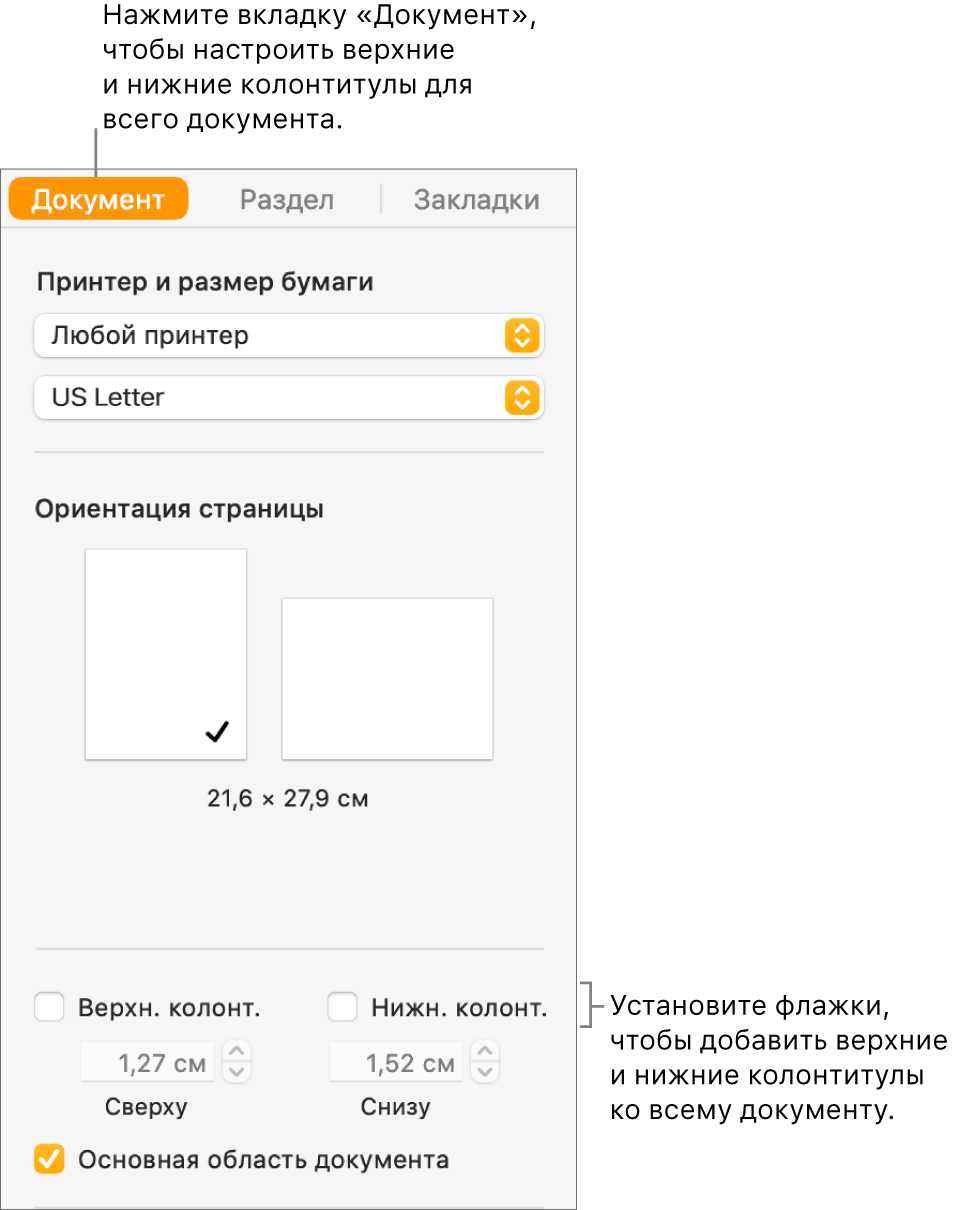 Боковая панель «Документ». Вверху боковой панели выбрана вкладка «Документ». Под флажками «Верхний колонтитул» и «Нижний колонтитул» отображаются стрелки для изменения расстояния от колонтитулов до верхнего и нижнего краев страницы.