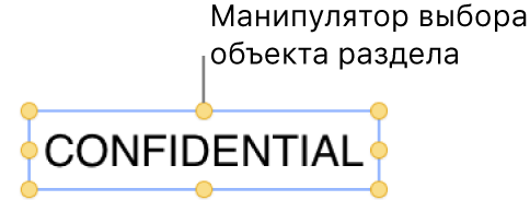 Объект с манипуляторами.