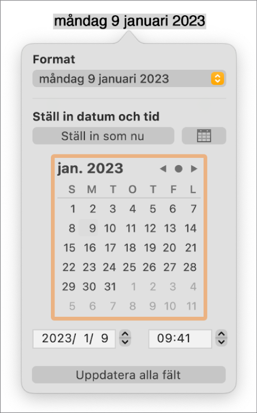 Reglagen Datum och tid med en popupmeny för format och inställning av datum och tid.