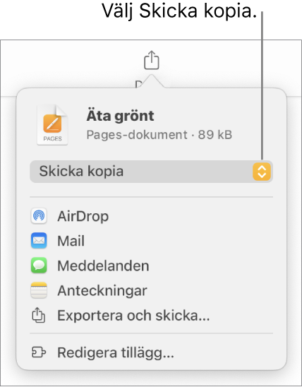 Delningsmenyn med Skicka kopia markerat högst upp.