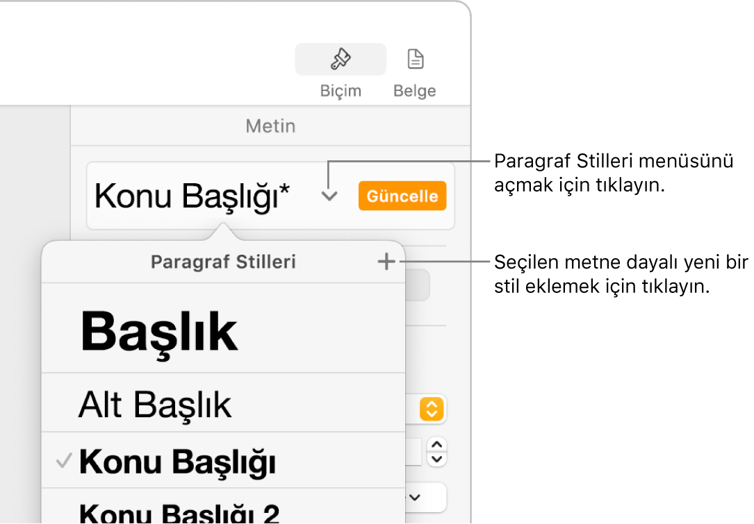 Stil ekleme veya değiştirme denetimlerini gösteren Paragraf Stilleri menüsü.