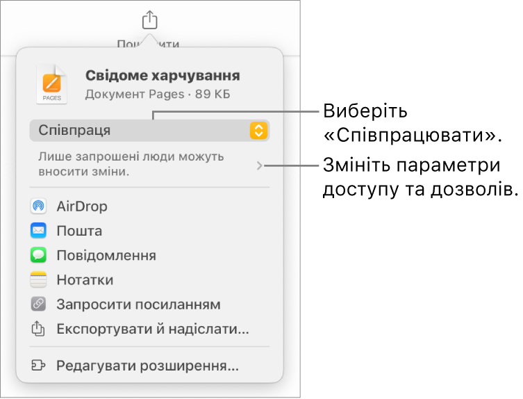 Меню «Поширити» з вибраним угорі елементом «Співпраця», а також параметрами доступу й дозволів унизу.